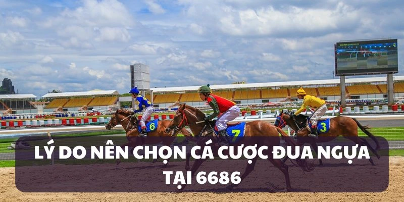 Ưu điểm của sảnh cược